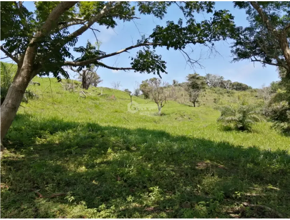 CAPIRA / CERMEÑO / FINCA / 88 HECTAREAS / 5 LAGOS