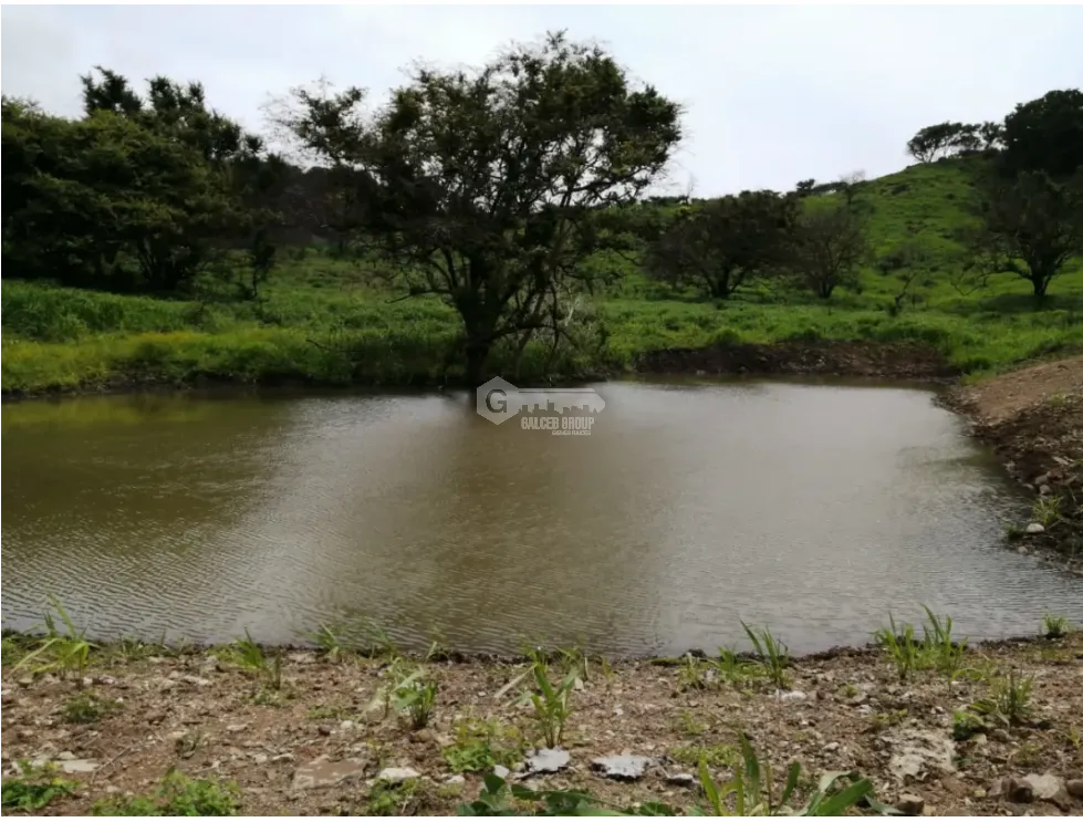 CAPIRA / CERMEÑO / FINCA / 88 HECTAREAS / 5 LAGOS