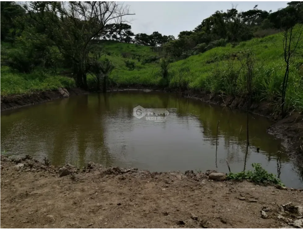 CAPIRA / CERMEÑO / FINCA / 88 HECTAREAS / 5 LAGOS