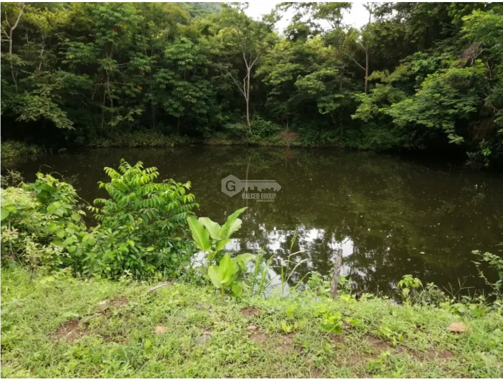CAPIRA / CERMEÑO / FINCA / 88 HECTAREAS / 5 LAGOS