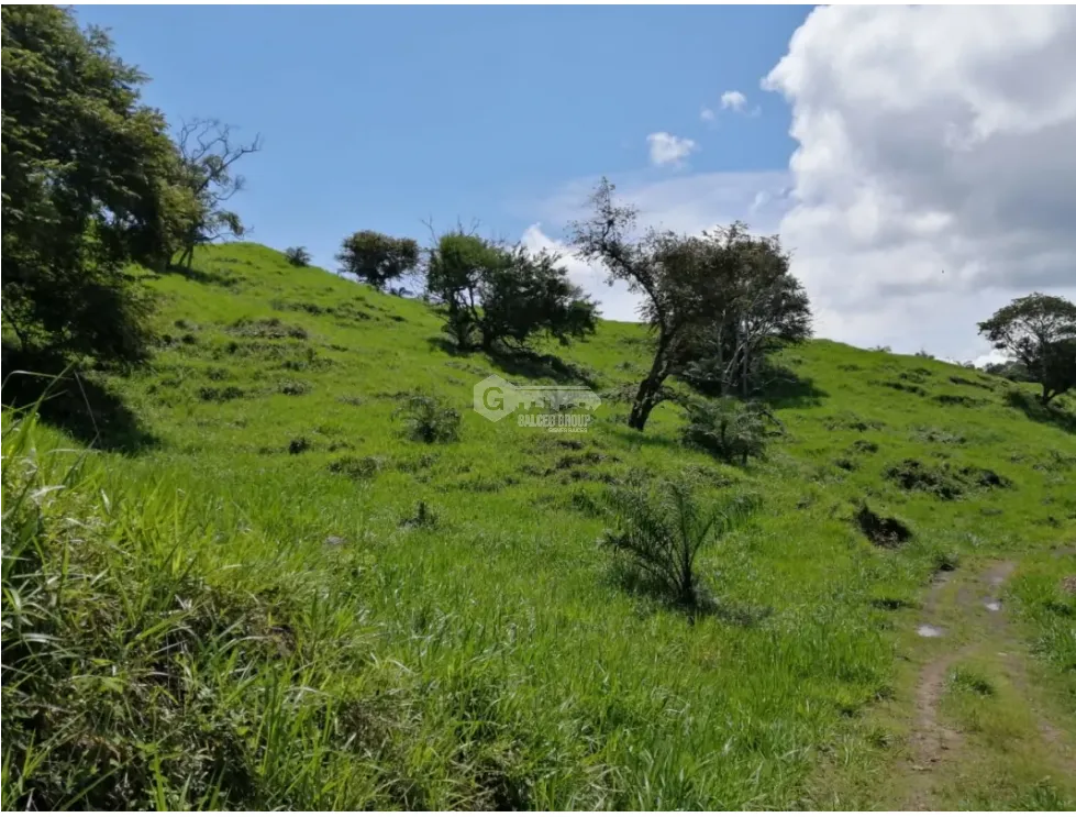 CAPIRA / CERMEÑO / FINCA / 88 HECTAREAS / 5 LAGOS