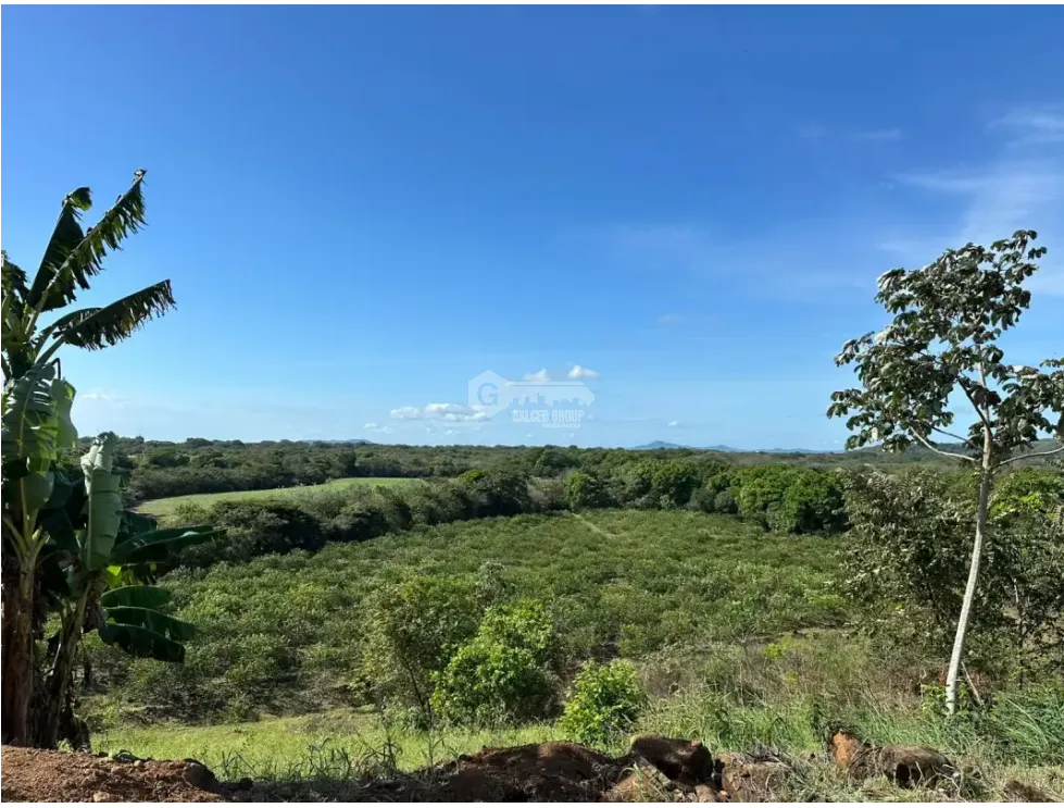 Land/Farm for sale in Cocle