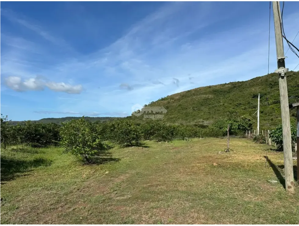 Land/Farm for sale in Cocle