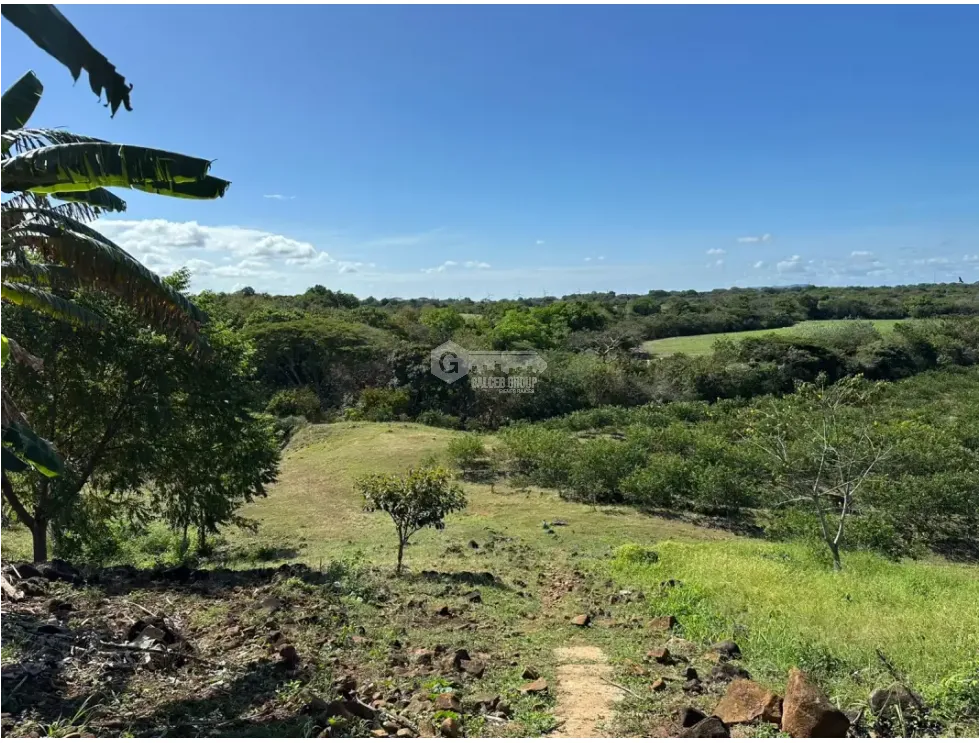 Land/Farm for sale in Cocle