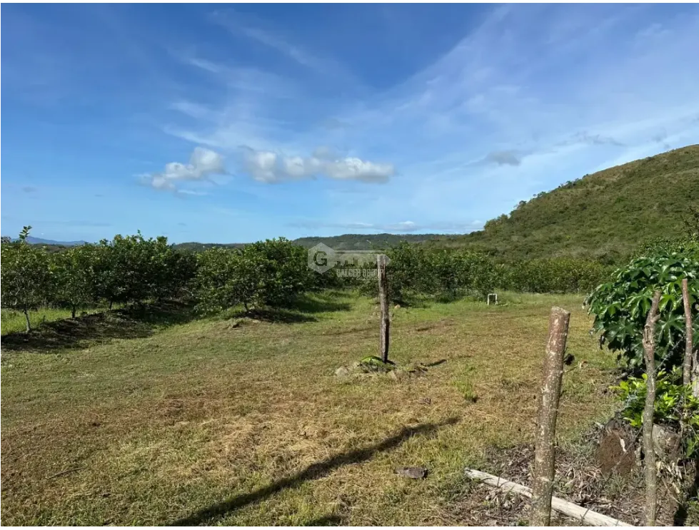 Land/Farm for sale in Cocle