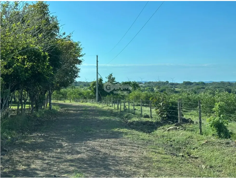 Land/Farm for sale in Cocle