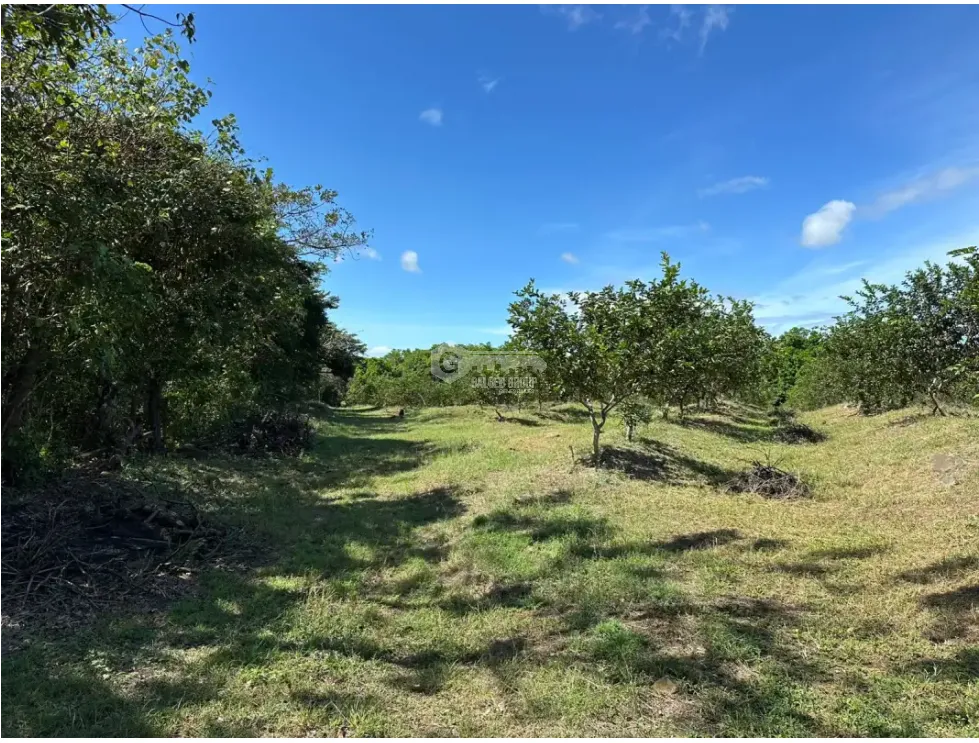 Land/Farm for sale in Cocle