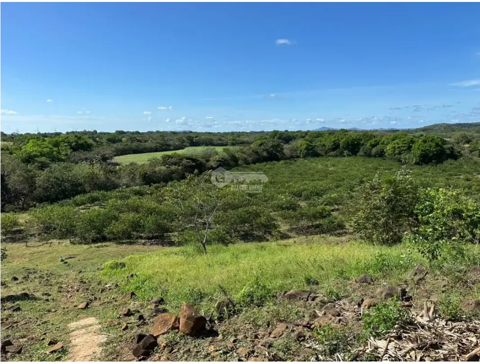 Land/Farm for sale in Cocle
