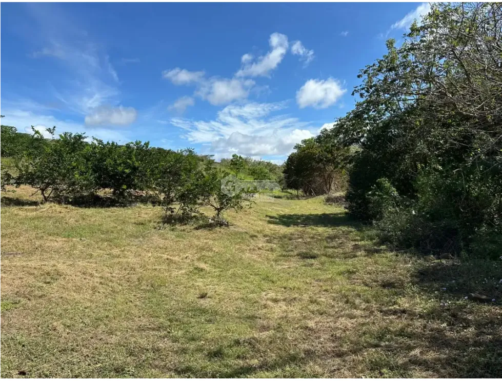 Land/Farm for sale in Cocle