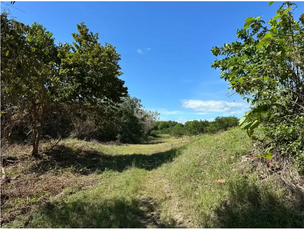 Land/Farm for sale in Cocle