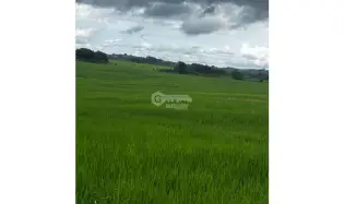 Land/Farm for sale in Las Tablas