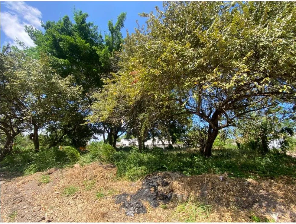 Building Lot for sale in Chame