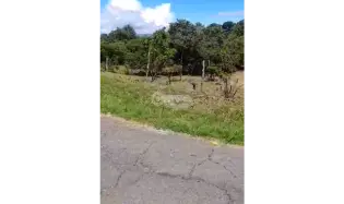 SAN CARLOS / PLAYA CORONA / 3755M2 / CALLE ASFALTADA