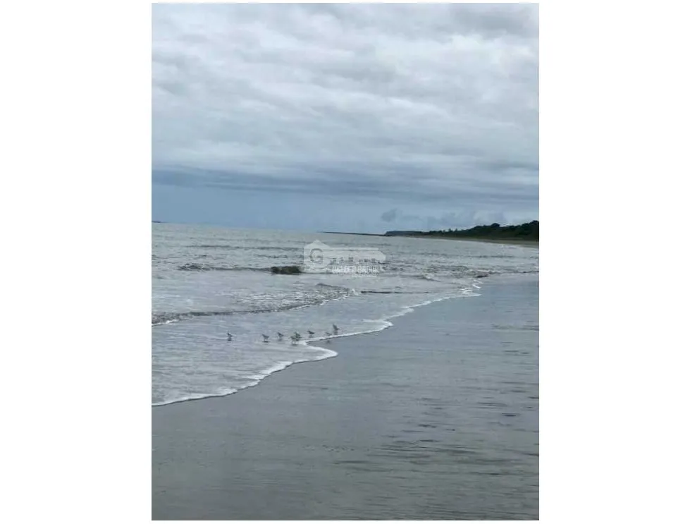 Las Tablas / Oceanfront Property at Pocri Beach / 2.5 Hectares