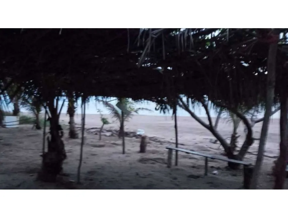 Las Tablas / Oceanfront Property at Pocri Beach / 2.5 Hectares