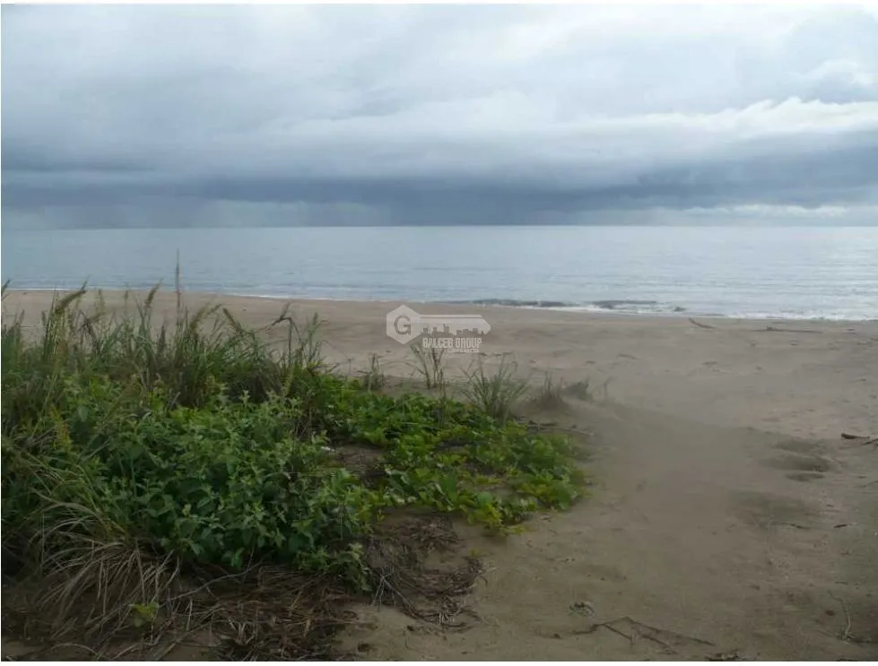 Las Tablas / Oceanfront Property at Pocri Beach / 2.5 Hectares