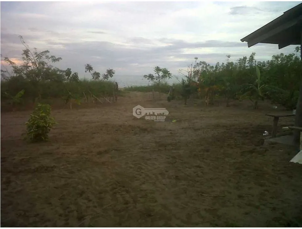 Las Tablas / Oceanfront Property at Pocri Beach / 2.5 Hectares