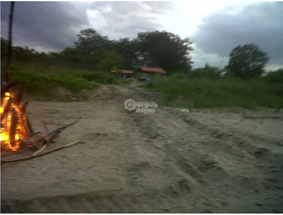 Las Tablas / Oceanfront Property at Pocri Beach / 2.5 Hectares