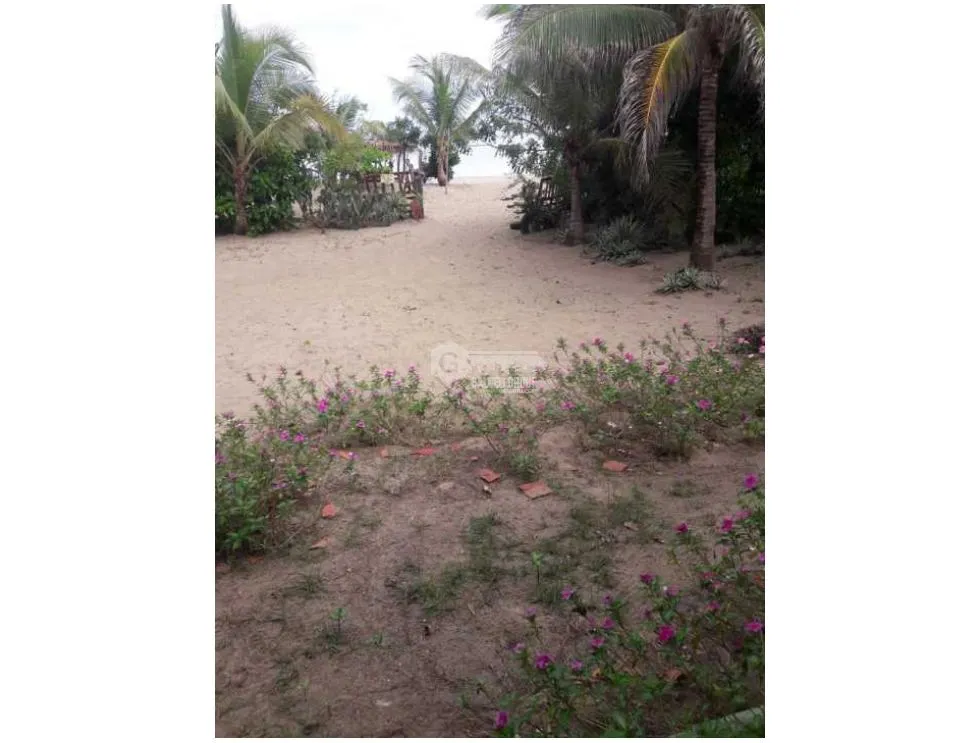 Las Tablas / Oceanfront Property at Pocri Beach / 2.5 Hectares