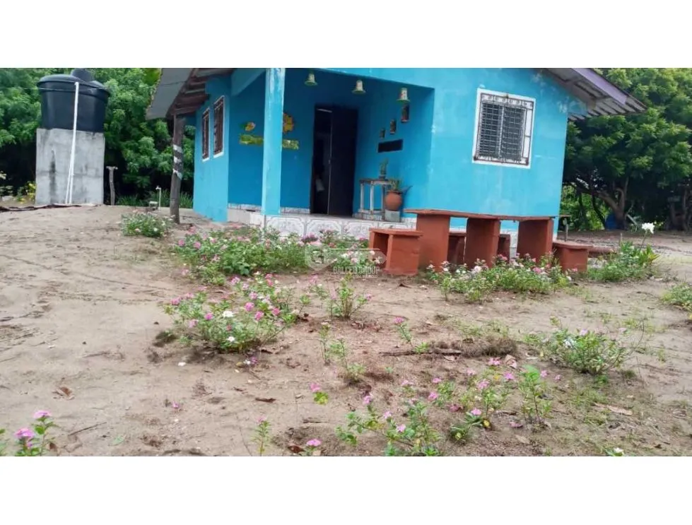 Las Tablas / Oceanfront Property at Pocri Beach / 2.5 Hectares
