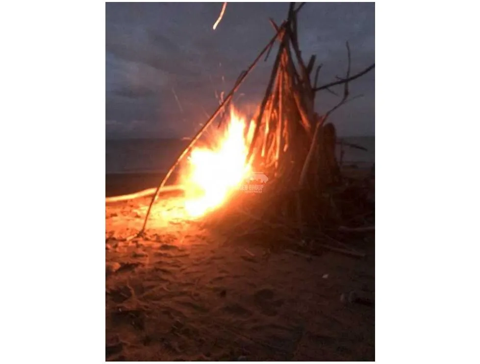 Las Tablas / Oceanfront Property at Pocri Beach / 2.5 Hectares