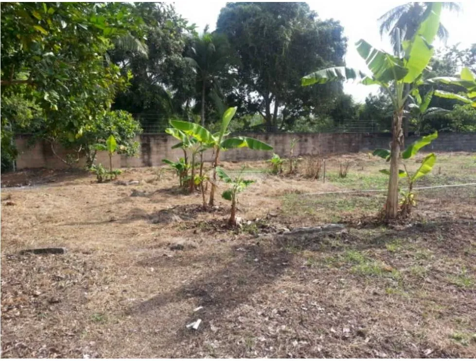 TERRENO CON RESTAURANTE Y HOSPEDAJE / FARALLÓN RÍO HATO / 2,220M2
