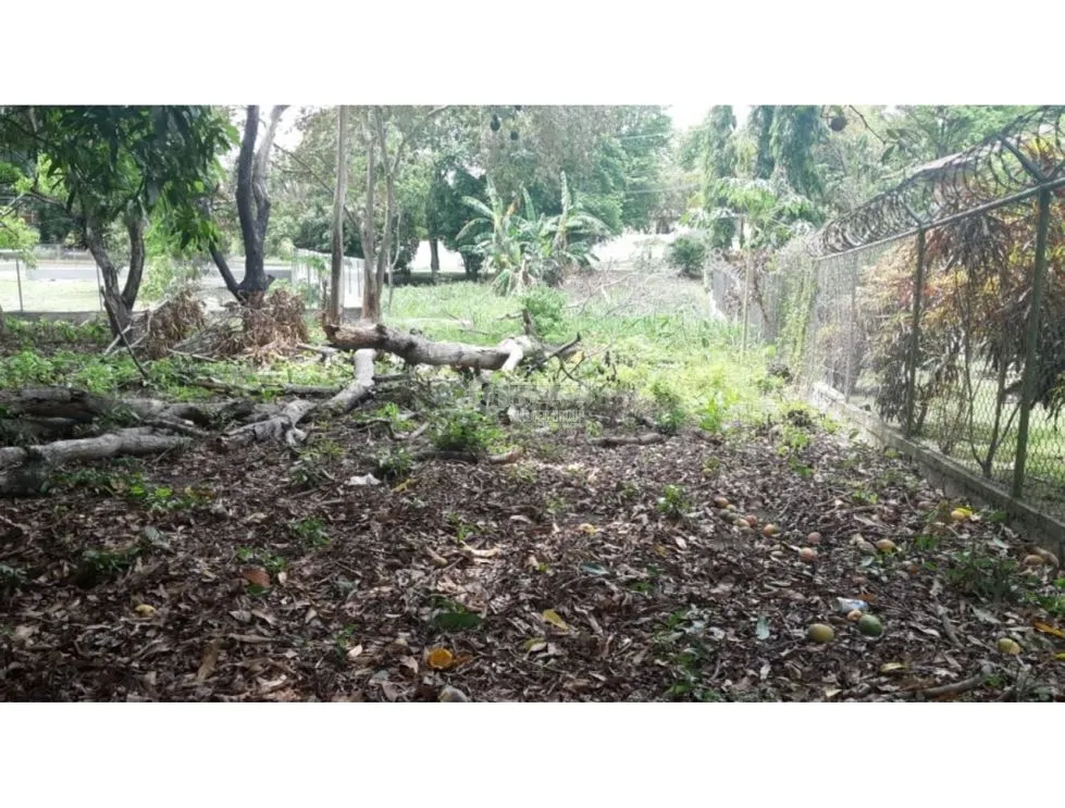 Building Lot for sale in San Carlos