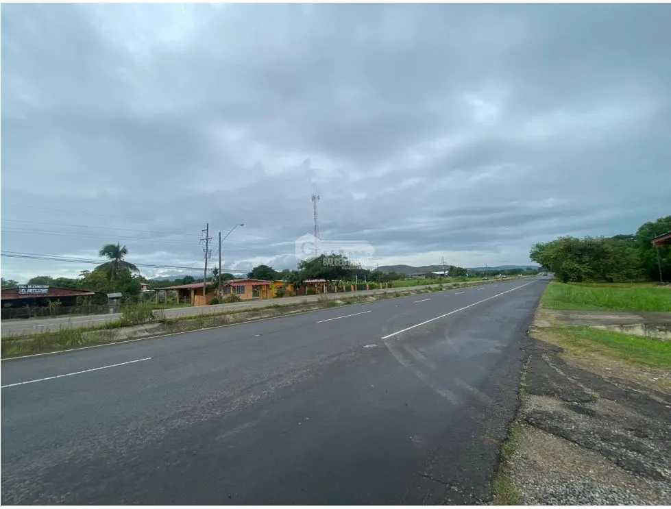 PENONOME / TERRENO / 2146M / VIA INTERAMERICANA