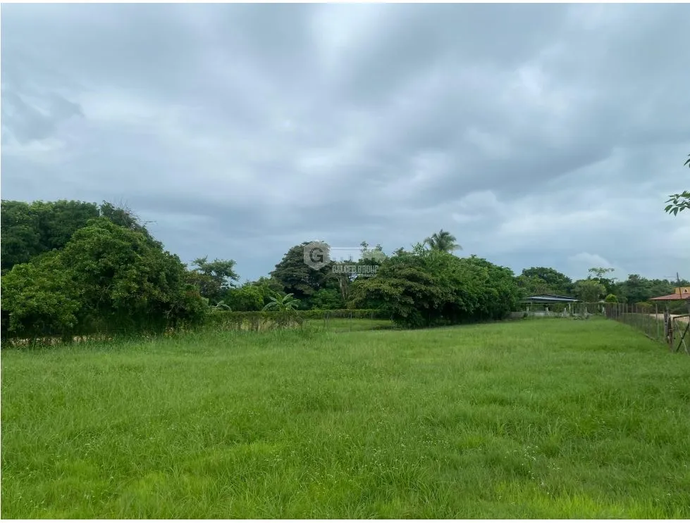 PENONOME / TERRENO / 2146M / VIA INTERAMERICANA
