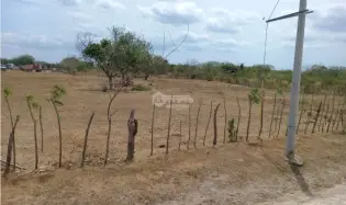 PENONOME / TERRENO / 3.538.81M2