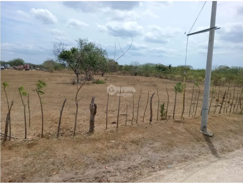 PENONOME / TERRENO / 3.538.81M2