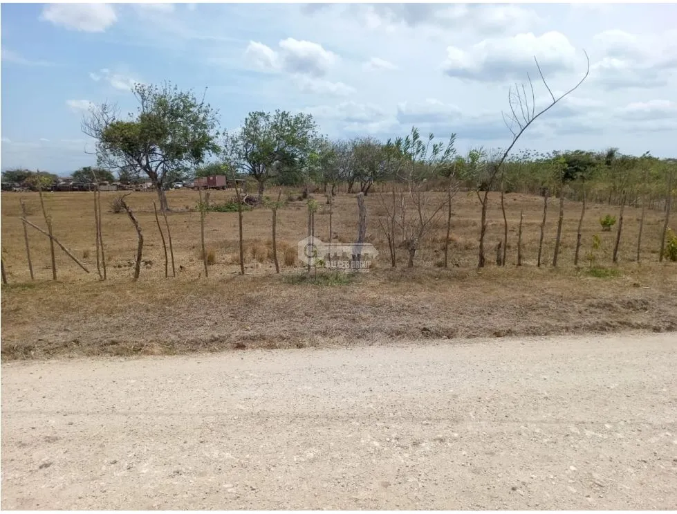 PENONOME / TERRENO / 3.538.81M2