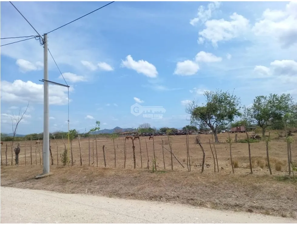 PENONOME / TERRENO / 3.538.81M2