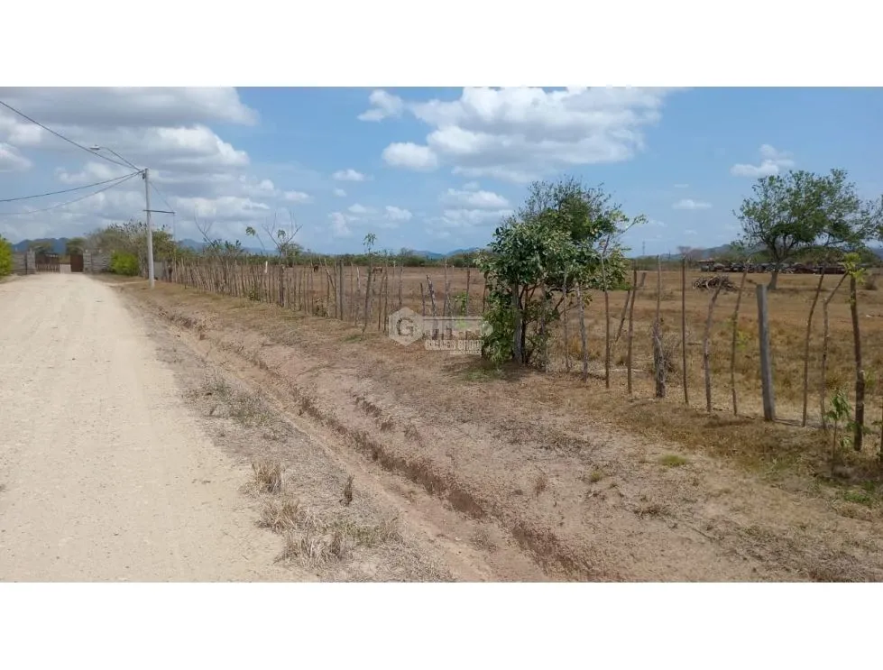 PENONOME / TERRENO / 3.538.81M2