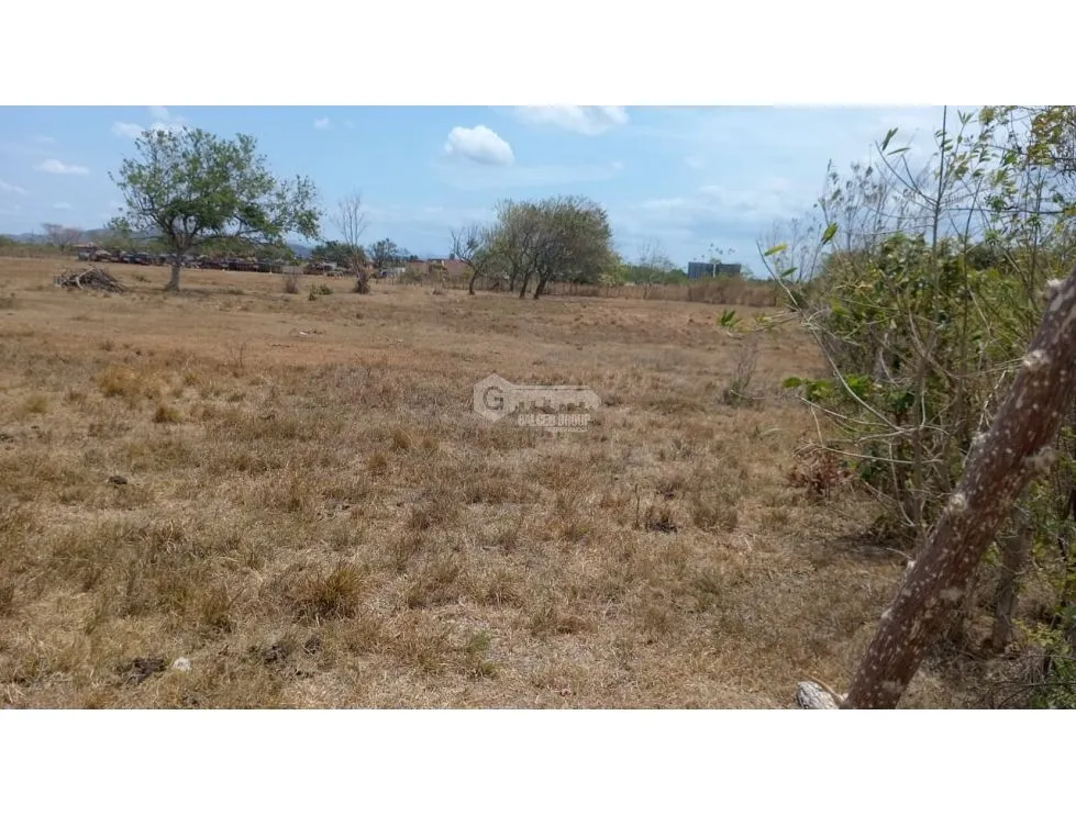 PENONOME / TERRENO / 3.538.81M2