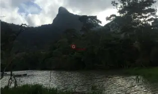 建筑很多 在 San Carlos 出售