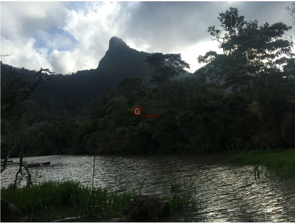 Building Lot for sale in San Carlos