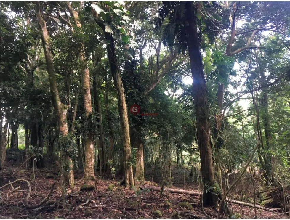 Building Lot for sale in San Carlos