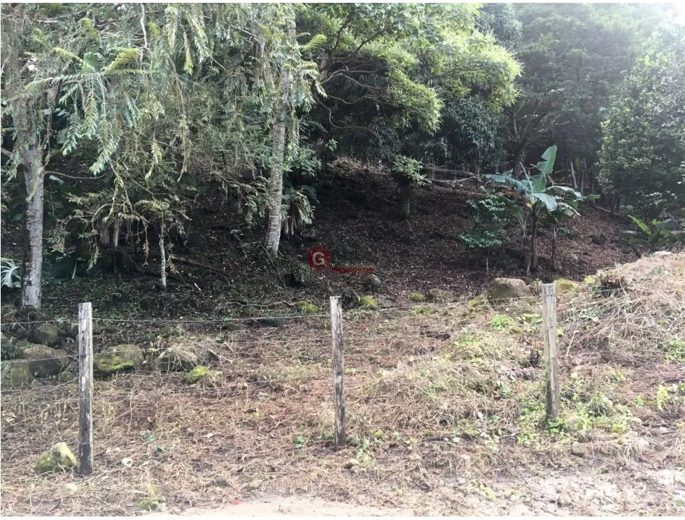 Building Lot for sale in San Carlos