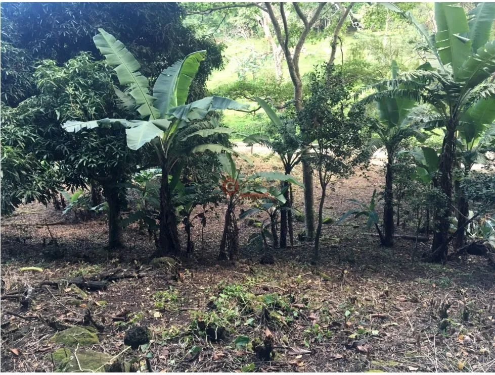 Building Lot for sale in San Carlos
