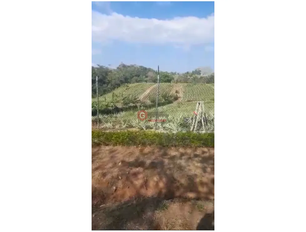 Building Lot for sale in Chorrera