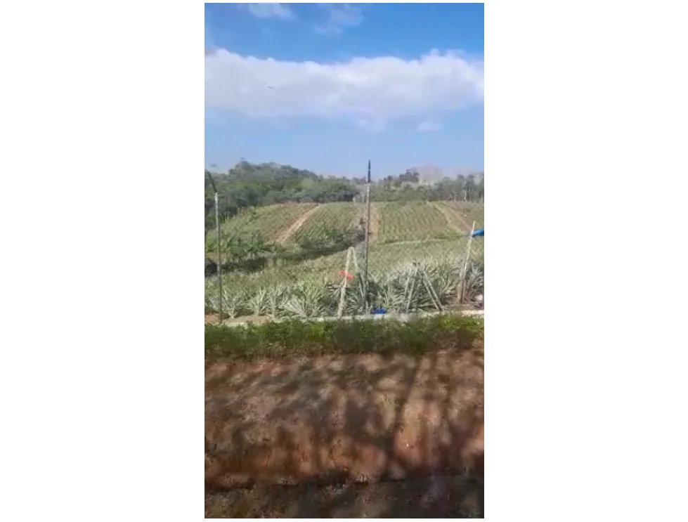 Building Lot for sale in Chorrera