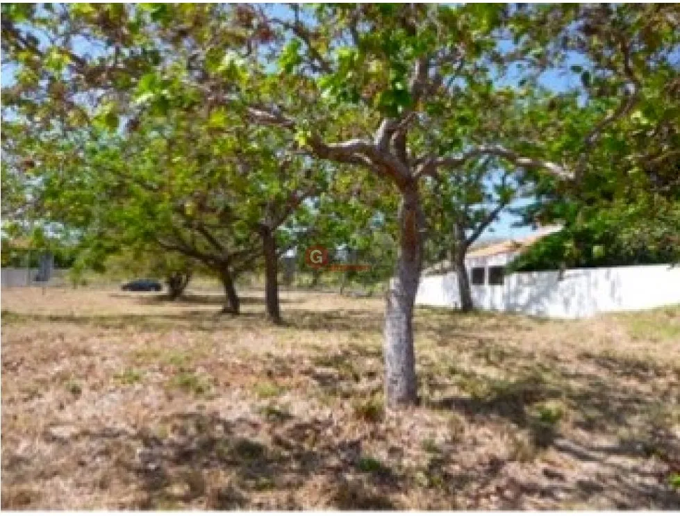 Building Lot for sale in Coronado
