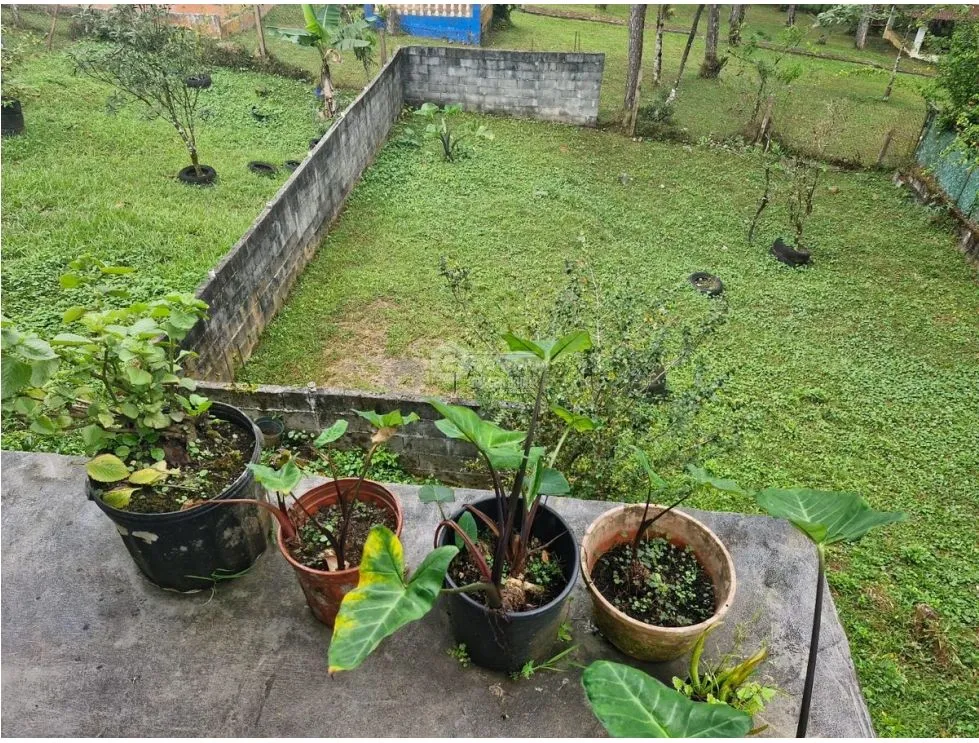 CERRO AZUL / 1000M² / 4 BEDROOMS / TERRACE / GARDEN / FULLY ENCLOSED