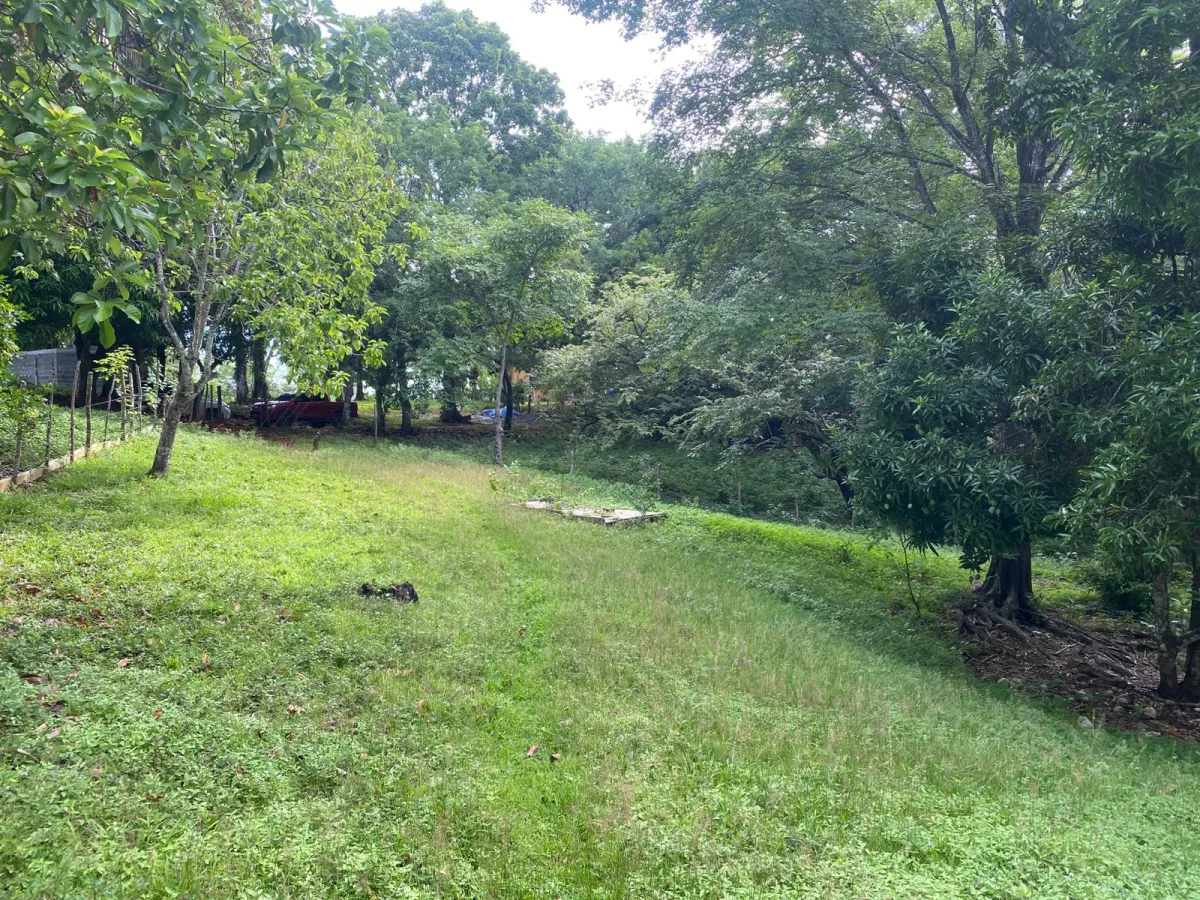 Titled 3,919.5 m² Property for Sale in Santa Catalina, Veraguas – Walking Distance to the Beach