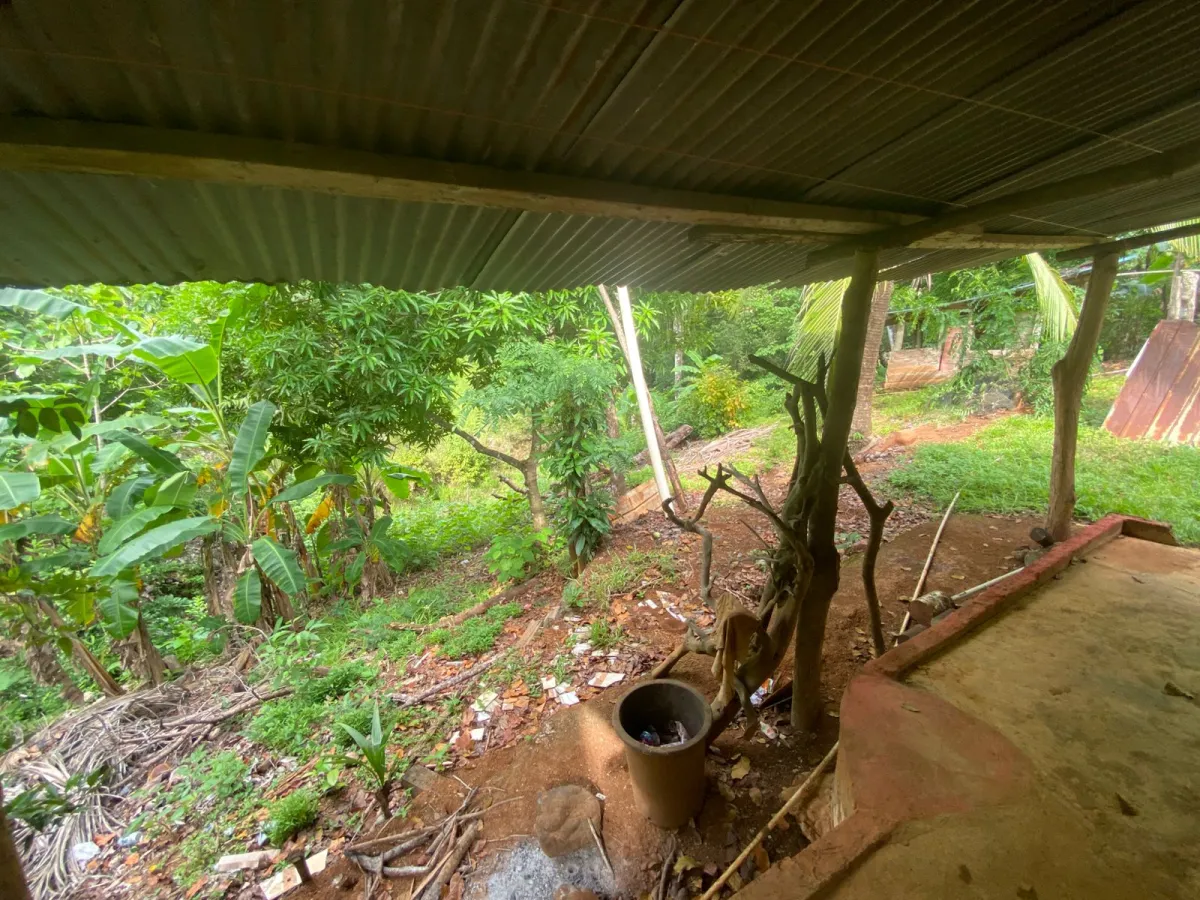 Titled 3,919.5 m² Property for Sale in Santa Catalina, Veraguas – Walking Distance to the Beach