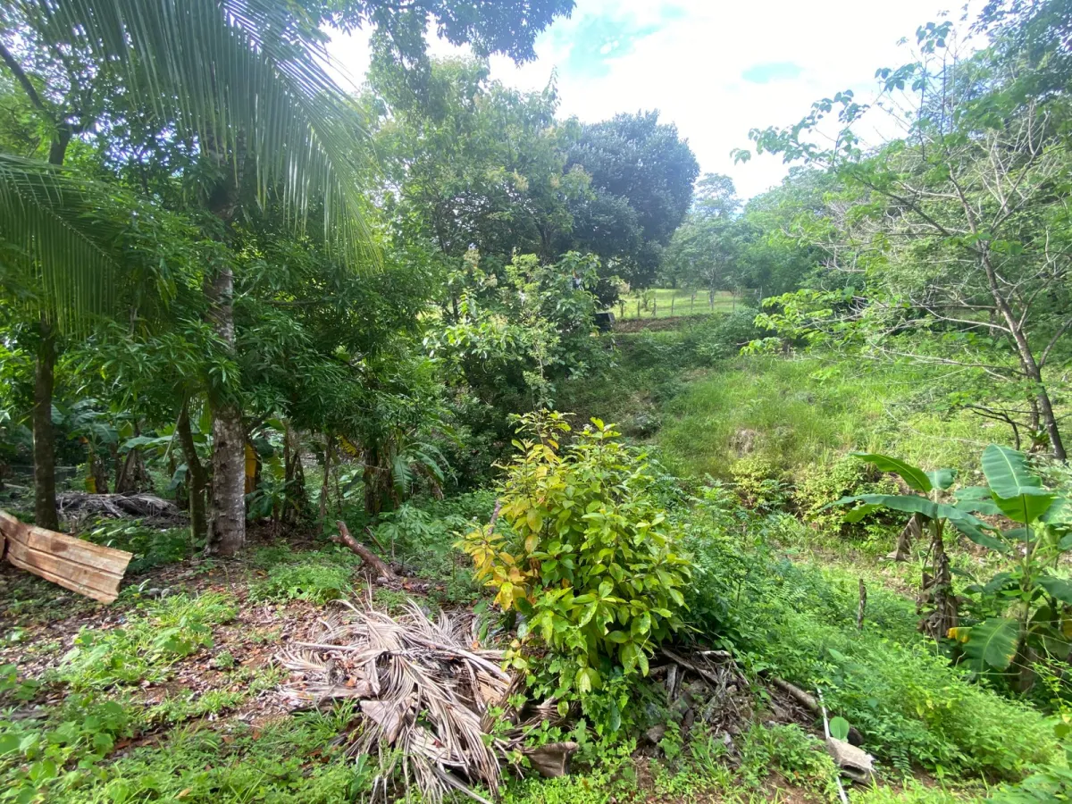 Titled 3,919.5 m² Property for Sale in Santa Catalina, Veraguas – Walking Distance to the Beach