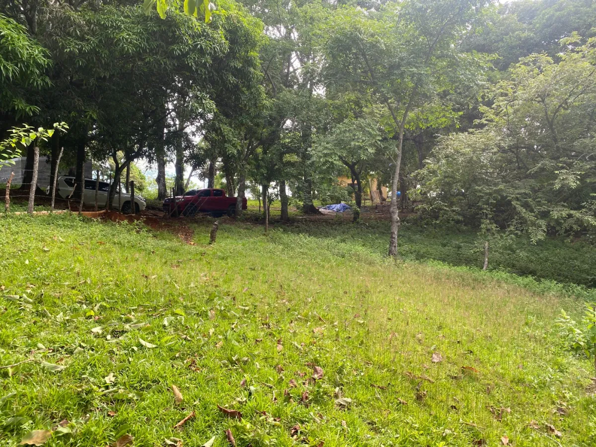 Titled 3,919.5 m² Property for Sale in Santa Catalina, Veraguas – Walking Distance to the Beach