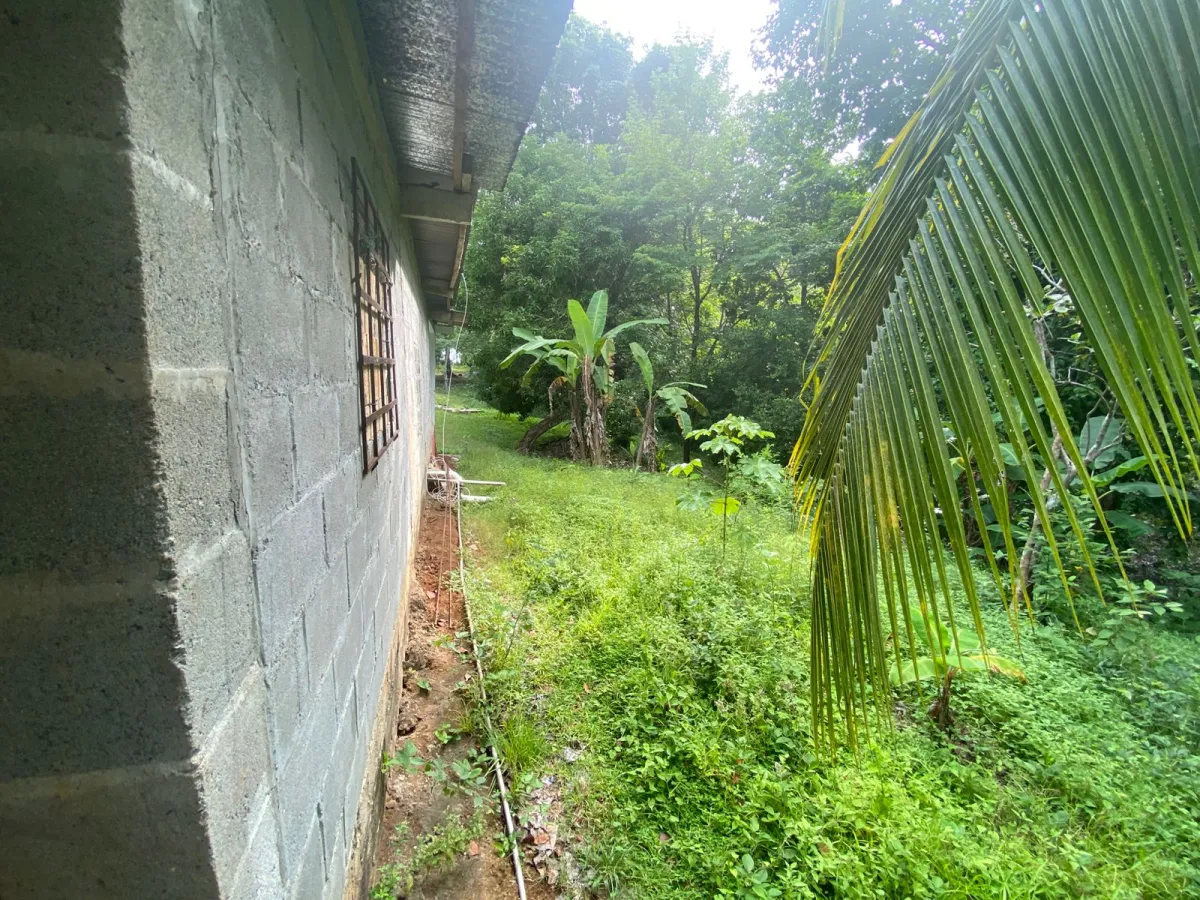 Titled 3,919.5 m² Property for Sale in Santa Catalina, Veraguas – Walking Distance to the Beach