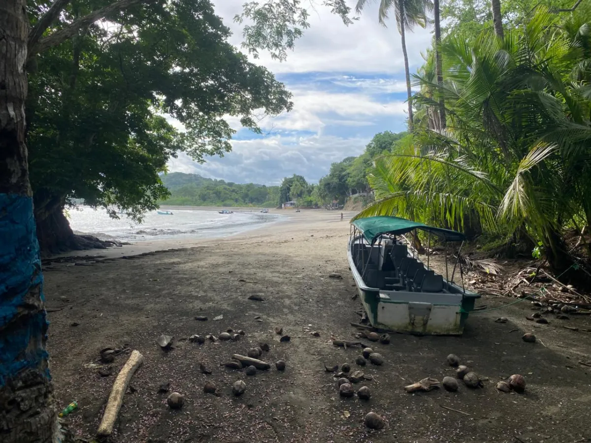 Titled 3,919.5 m² Property for Sale in Santa Catalina, Veraguas – Walking Distance to the Beach